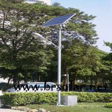 2014 neue Produkte Solar beleuchtete Palmen CE IEC ROHS genehmigt